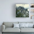 thumbnail image 2 of Trademark Fine Art "In Silence" Canvas Art by Beata Czyzowska Young, 2 of 4