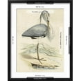 thumbnail image 5 of Art.com Antique Heron IV Art Print, Black Frame Wall Art, 17" x 21", 5 of 5
