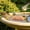 C, variant on Seyotauo Solid Copper Disk for Bird Bath Cleaner, Pure Copper Round for Outdoor Water Basin Algae Control, Natural Algaecide Disk for Garden Birdbath Water Care
