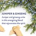 thumbnail image 3 of Desodorante nativo de enebro y ginseng 78 ml, 3 of 6