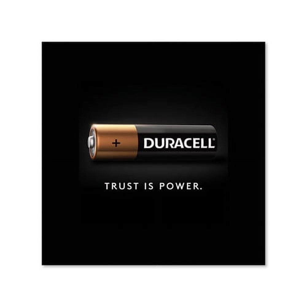 CopperTop Alkaline AA Batteries 24/Box