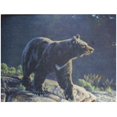 thumbnail image 1 of Custom Printed Rugs   Wildlife Rug, 1 of 1