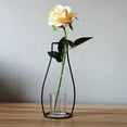 thumbnail image 5 of Metal Flower Vase,Minimalist Black Wire Tabletop Flower Holder with Modern Design,For Living Room Home Decor,1PC,Black, 5 of 6