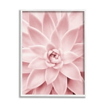 Stupell Industries Pastel Pink Succulent Botanical & Floral Photography White Framed Art Print Wall Art, 16 x 20
