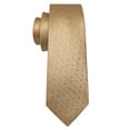 thumbnail image 3 of Barry.Wang Classic Ties for Men Formal Business Wedding Solid Paisley Necktie Set, 3 of 4