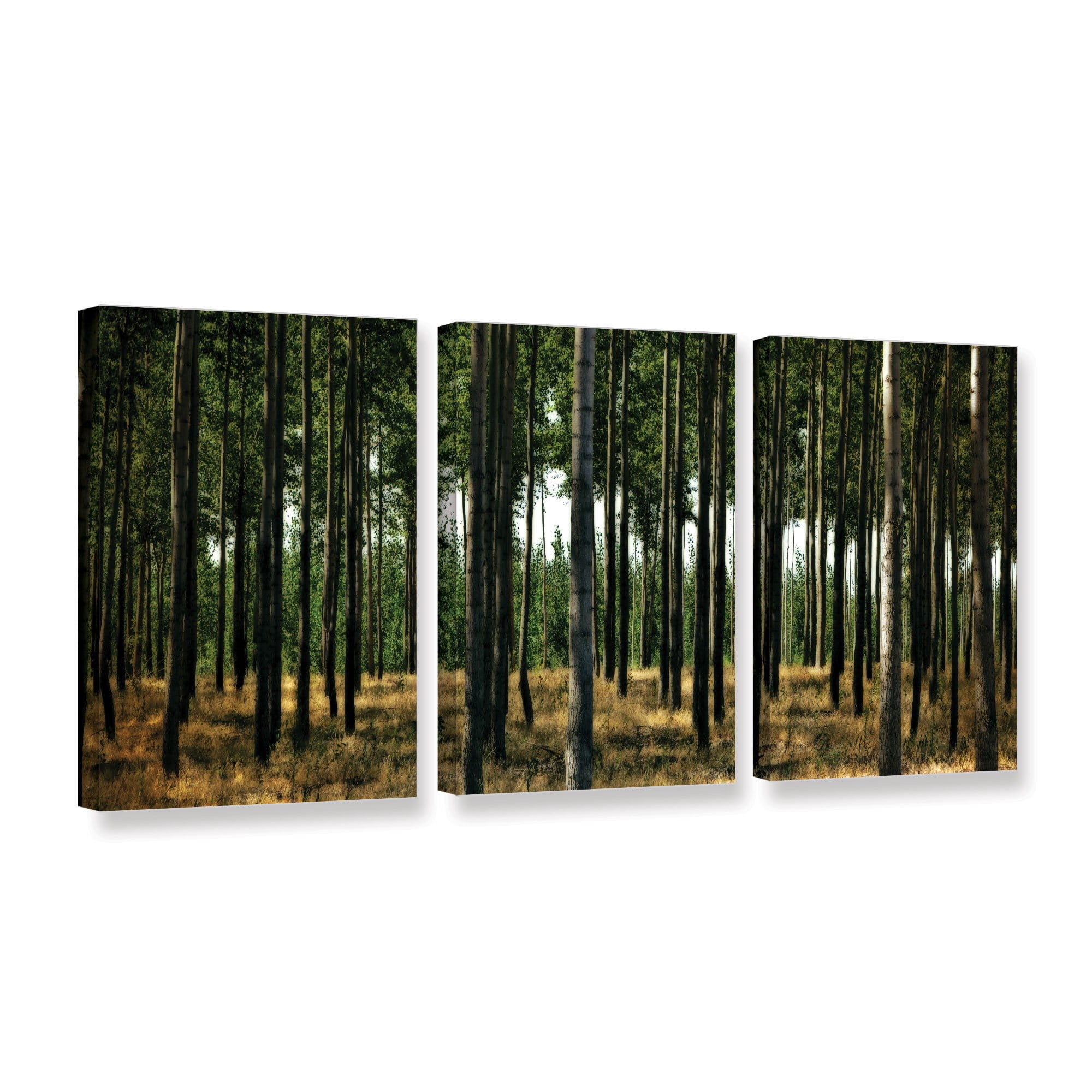 ArtWall Kevin Calkins "Standing Trees" 3-Piece Gallery-Wrapped Canvas Set