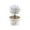 Clear, variant on DIY Growing Kit Grow Trees in 24 Hours Educational Craft Kit with 1 colorful Growing Powders 1 1 Stir Sticks 1 measuring cups and 1 instruction manual Craft Kits(Clear)