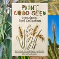 thumbnail image 2 of Plant Good Seed Organic Great Grains Seed Collection -  4 Packets - Oat, Wheat, Barley, Rye Heritage Grasses, 2 of 6