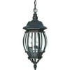 Nuvo 60-896 - Central Park - 3 Light - 20" - Hanging Lantern - w/ Clear Beveled Glass