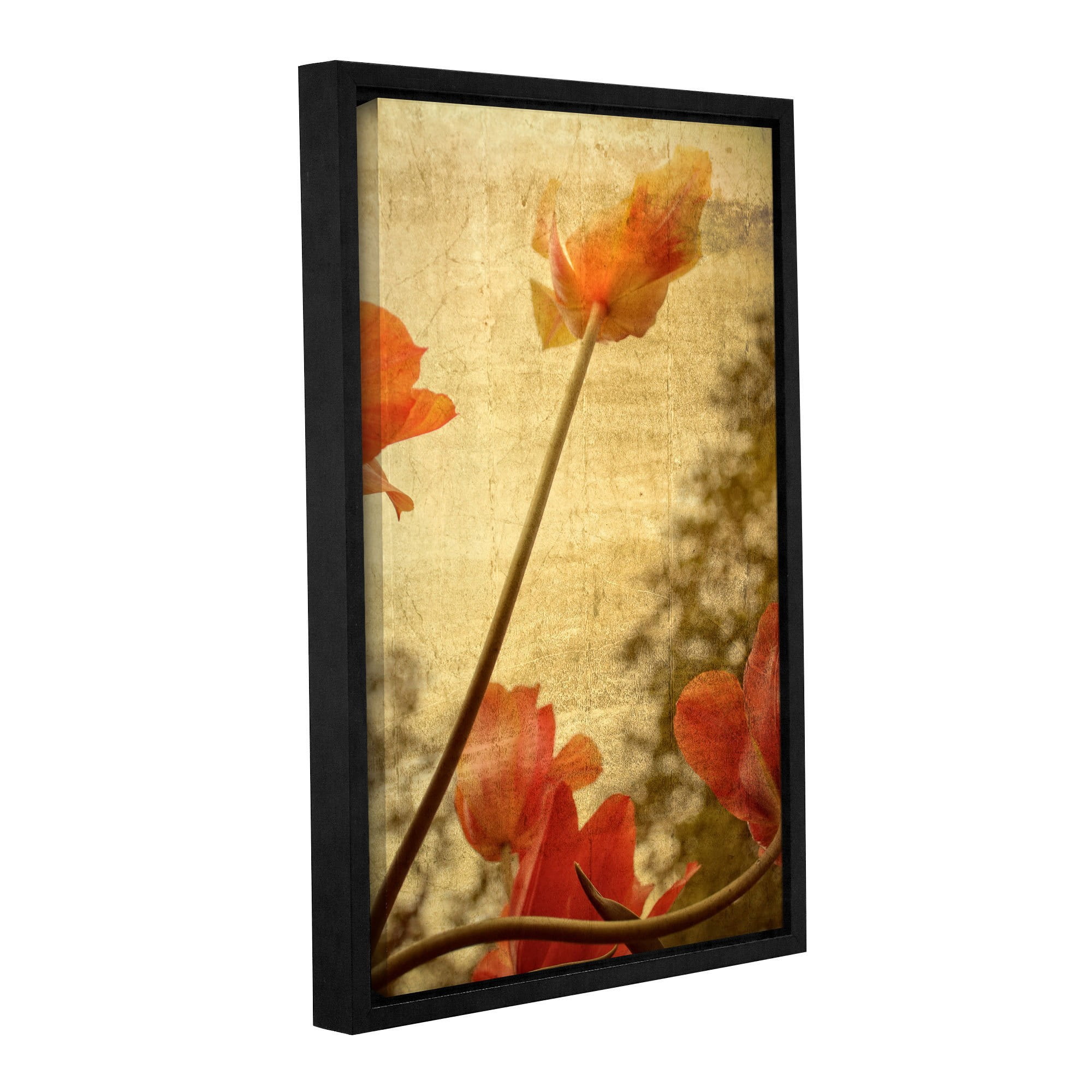ArtWall Kevin Calkins "Orange Tulip" Gallery-Wrapped Floater-Framed Canvas