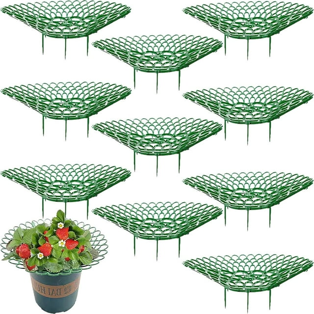 Yazoeia Strawberry Supports Strawberry Plant Support,Strawberry Plant Support Stand Strawberry Growing Racks Protector,Fruit Growing Frame with 3 Sturdy Legs for Planting CJC912-156495