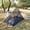 Black, variant on Kadahis Mosquito Net with Bottom for Camping Bed Compact and Ultra-Light for Travel Outdoor Lightweight Mesh for 2 Person (Black)