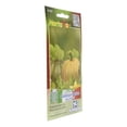 thumbnail image 3 of Semillas Calabaza Dulce Hortaflor Naranja 9 Gr, 3 of 3