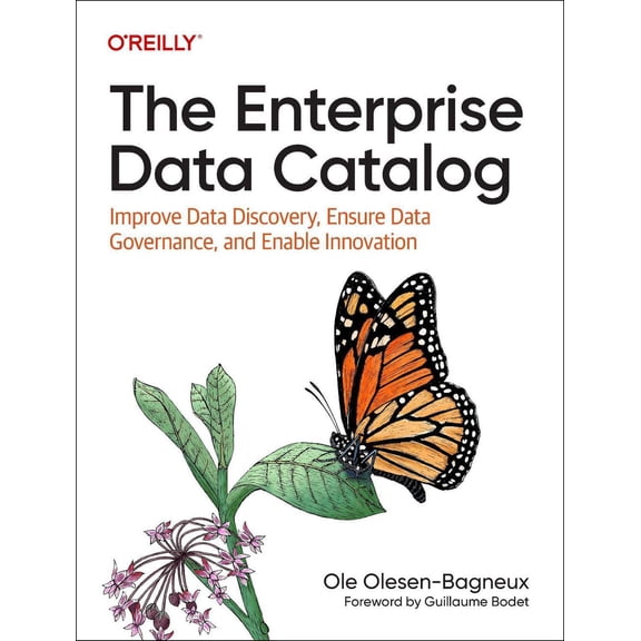 The Enterprise Data Catalog (Paperback)