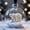 Bear, variant on 2026 Wildlife Wonders Collection Crystal Glass Ornament, Vivid 3D Animal Christmas Decoration, Luxury Winter Holiday Tree Dcor & Gifts, Christmas Ornaments Balls Winter Holiday