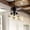Black, variant on JONATHAN Y Lucas 52" Caged 3-Light Metal/Wood LED Ceiling Fan, Black