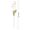 thumbnail image 2 of Uxcell 24" Artificial Silk Faux Flowers Permanent Floral Bouquet Decor, Champagne 5 Stems, 2 of 5