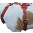 thumbnail image 2 of Genuine Leather Dog Harness, 37"-45" Chest, 1" Wide Straps. XXLarge. Newfoundland, Great Dane, 2 of 3