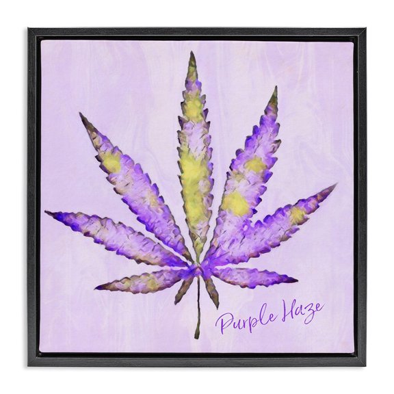 Stupell Industries Purple Haze Plant Leaf Plants & Flowers Painting Black Floater Framed Canvas Art Print Wall Art, 18 x 18
