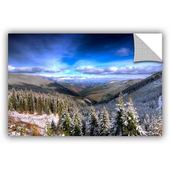 ArtAppealz Dragos Dumitrascu "Winter Vision "Removable Wall Art