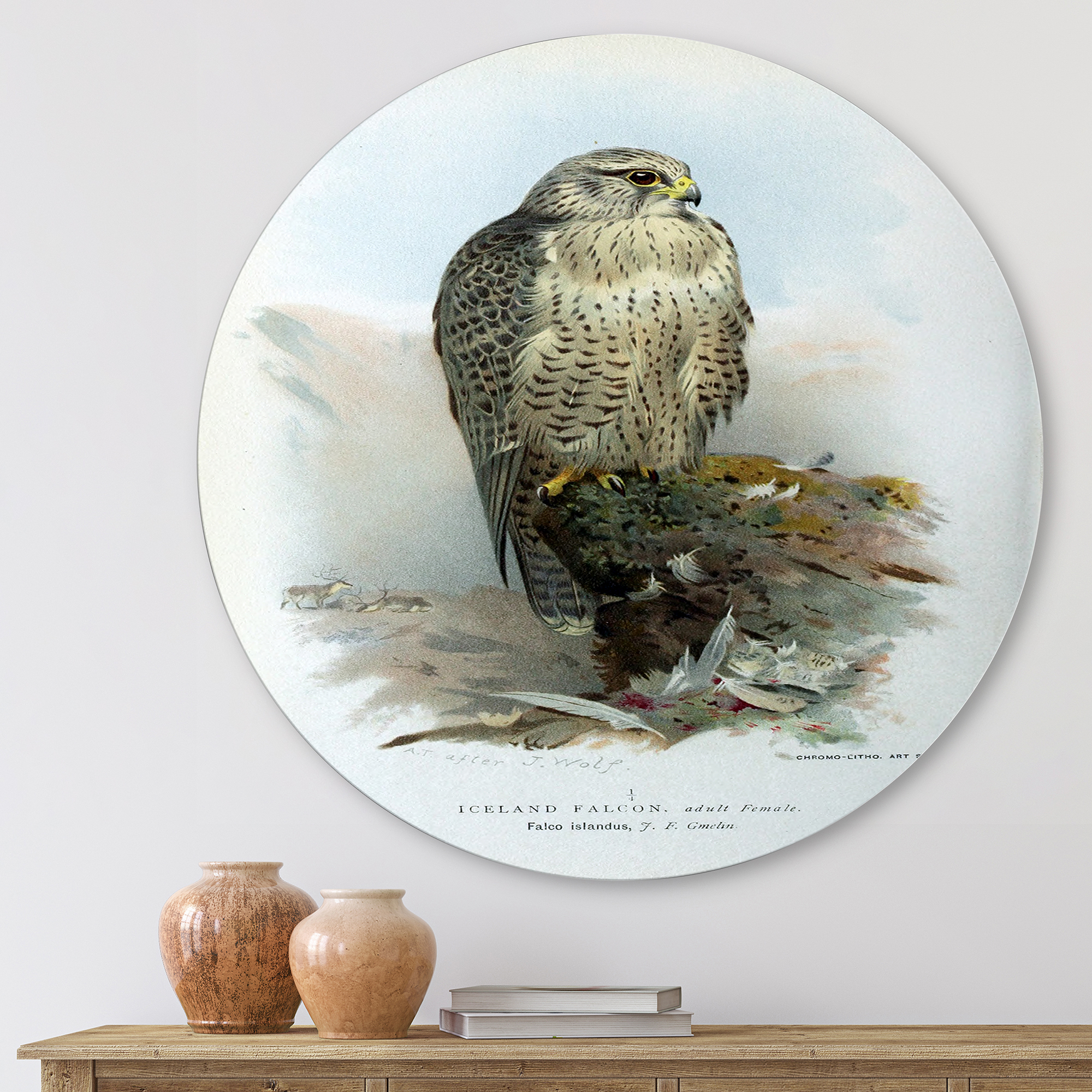 Designart 'Ancient Bird Life V' Traditional Circle Metal Wall Art 11x11 - Disc of 11