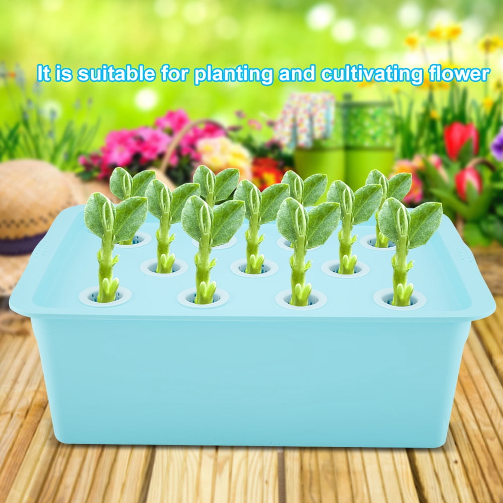 11 Löcher Hydrokultur Tank Pflanze Hydroponik Box Bewässerung System Wachsen xi 