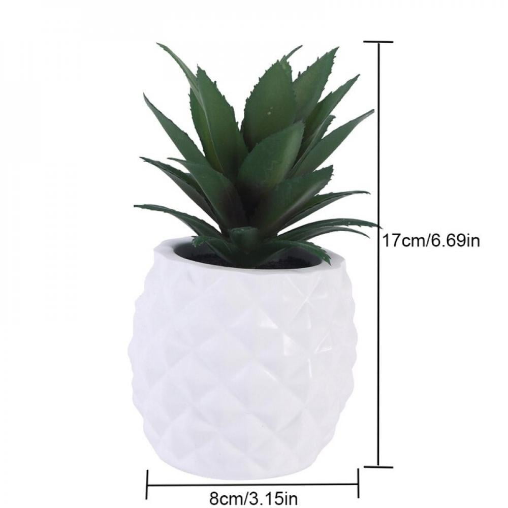 Houseplant Live Plant with Resin Pineapple Flower Pot,Farms Live Indoor