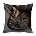 thumbnail image 2 of Rirozkan Spring Cushion Cover, Easter Pet Pattern Throw Pillow Cover, 18 Inch Square Decorative Pillow Case for Sofa Couch, Plush Imitation Embroidery Home Decor for Living Room Bedroom, 2 of 6