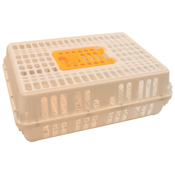 RITE FARM PRODUCTS 29x21x10.5 POULTRY TRANSPORT 4H SHOW CAGE COOP CRATE CHICKEN