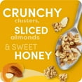 thumbnail image 5 of 2 pack of Kashi GO Protein Cereal, 10g Protein, 10g Fiber, Honey Almond Flax Crunch, 17.7oz Box (1 Box), 5 of 5
