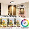 thumbnail image 2 of Lámparas para Recámara 15cm 3000K 12W Paquete de 4, Lámpara de Techo LED para Baño, Redonda Plafon Modernas para Cocina/Pasillo/Armario/Baño/Sala (Luz Cálida-Negro-Paquete de 4), 2 of 16