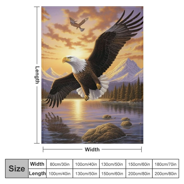 Eagles throw blanket hotsell