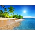thumbnail image 2 of wall26 - Palm Trees on Tropical Beach Vacation - Landscape - Wall Mural, Removable Sticker, Home Decor - 66x96 inches, 2 of 5