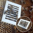 thumbnail image 6 of SDFGTstore Plastic Queen Bees Cage Beekeeping Tool for Hives Protective and Safe Beekeeping, 6 of 8