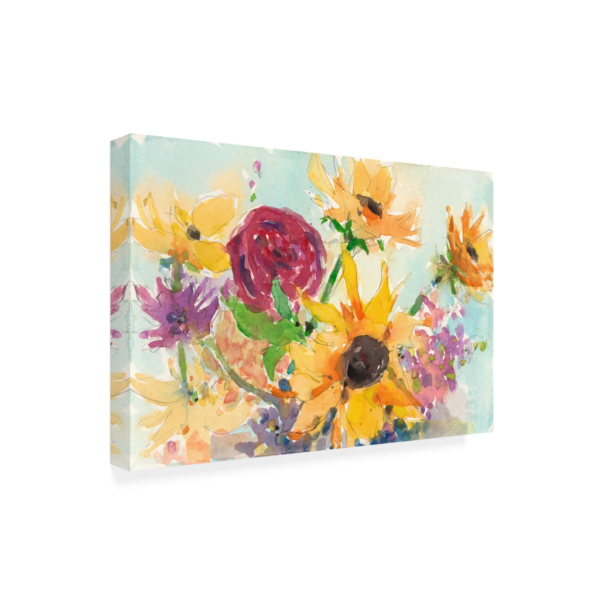 Trademark Fine Art 'Bright Wild Flowers II' Canvas Art by Samuel Dixon
