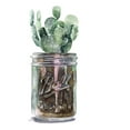 thumbnail image 2 of Parker, Jennifer Paxton 20x24 White Modern Wood Framed Museum Art Print Titled - Cactus Mason Jar II, 2 of 4