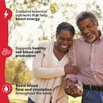 thumbnail image 2 of LifeSeasons Blood Nourish-R - Iron Deficiency Supplement - Supports Anemia, Fatigue, Paleness & Dizziness - No Constipation - Blood Building - Iron, Alfalfa, Raspberry & Vitamin B-12-60 Capsules, 2 of 9