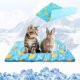 thumbnail image 2 of Tapete refrescante para perro, almohadilla de refrigeración mejorada de dos caras para perros, gatos, cachorros, manta suave para dormir para mascotas, mantiene fresca en verano con bonito, 2 of 20