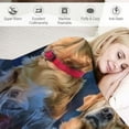 thumbnail image 3 of Qinduosi  Dog Blanket for Kids Adults, Animal Pattern Plush Dog Blanket Gift for Lovers,Double Sided Blanket Sherpa Throw Print Flannel Fleeceinches), 3 of 6
