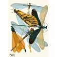 thumbnail image 2 of Emile-Allain Séguy 11x14 Black Ornate Wood Framed Double Matted Museum Art Print Titled: Insectes Pl.20 (1929), 2 of 5