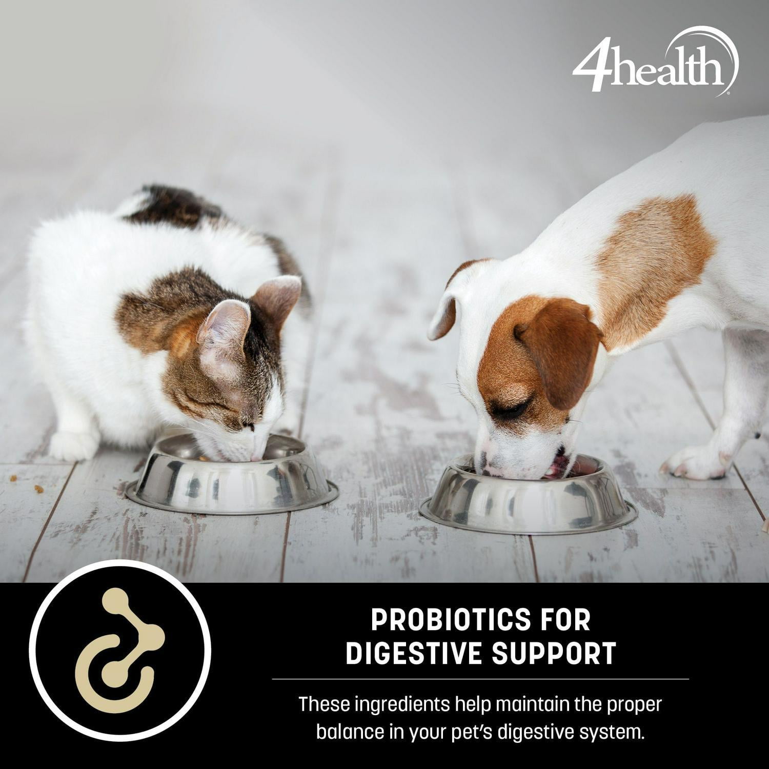 4health dog food walmart