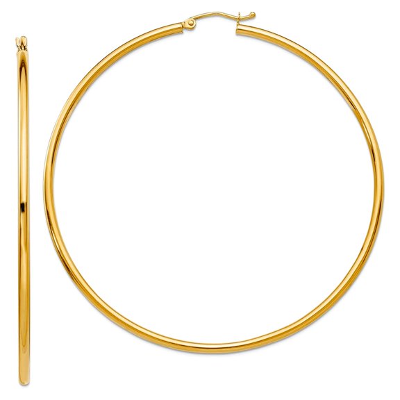 Finest Gold 10K Yellow Gold Polished 2.5 mm Tube Hoop Earrings