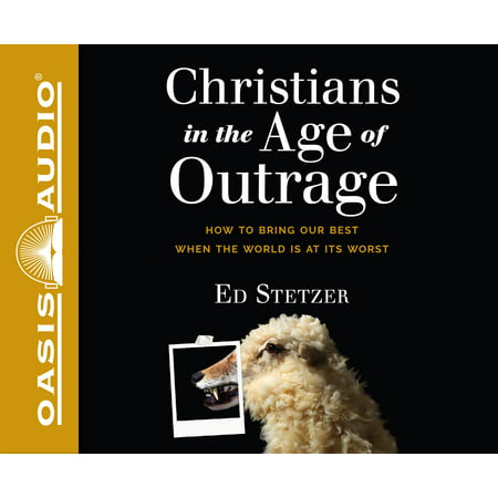 Christians in the Age of Outrage : How to Bring Our Best When the World is at Its (The Best Christian Blogs)
