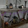 thumbnail image 4 of Northlight LED Lighted Spider Halloween Lights - 6' Black Wire - Purple Lights - 10ct, 4 of 4