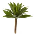 thumbnail image 1 of Plante d'Agave de 32 Po avec Tige, 1 of 1