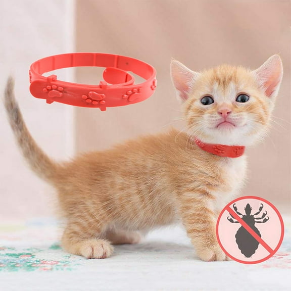 Flea Collars & Combs