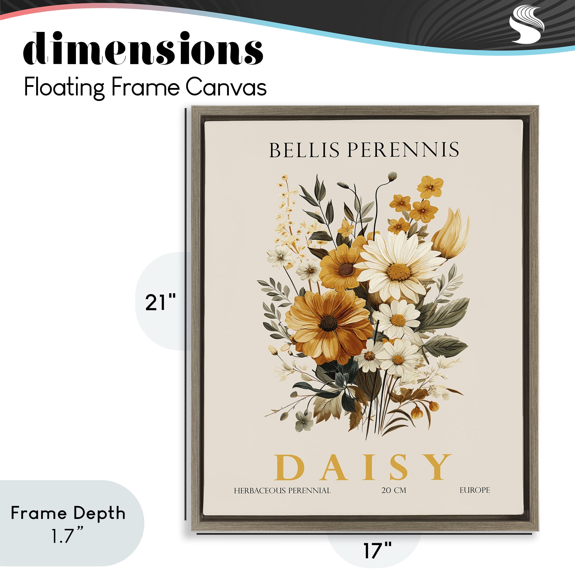 Stupell Industries Nature Daisy Bundle Brown Framed Floater Canvas Wall Art, design by Christopher Giampietro