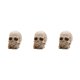 thumbnail image 3 of Yuarrent Decoración de Halloween: luces de calavera resplandecientes para decoración de fiestas Exquisita calavera resplandeciente de Type1 NO1, 3 of 6