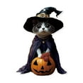 thumbnail image 2 of Witch Cat Acrylic Keychain Style A Adorable Halloween Bag Charm, 2 of 9