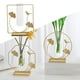 thumbnail image 1 of Florero de cristal de hierro, tubos de ensayo, jarrón, arreglo floral, pntas hidropónicas, , sa de , terrario, contenedor, decoración Cuadrado perfecl Jarrón hidropónico, 1 of 8